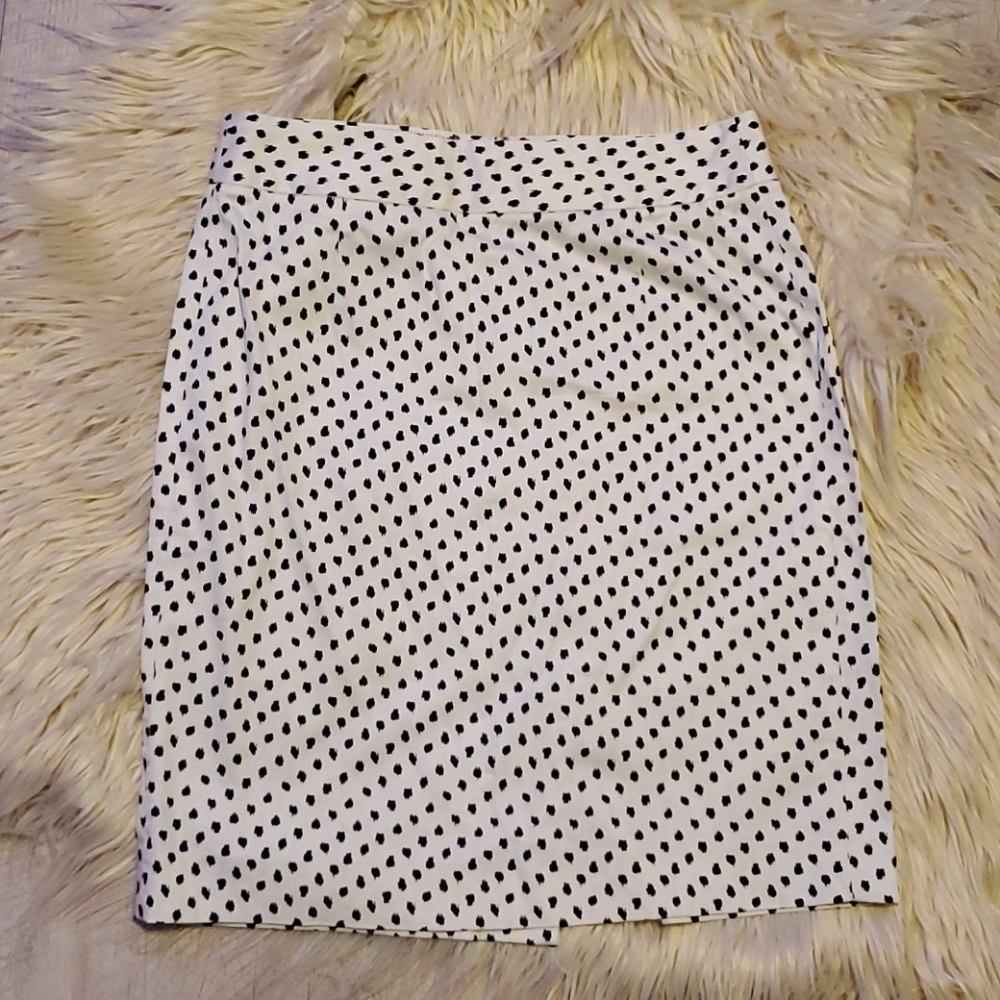 J. Crew skirt